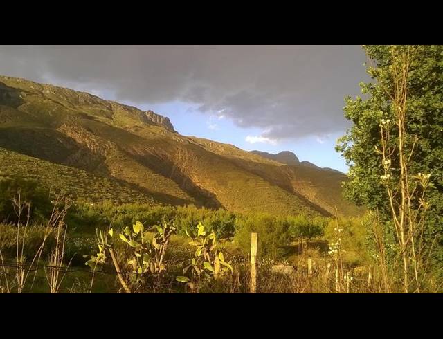 FARM FOR SALE IN LADISMITH